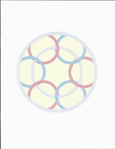 2013 DC Design House - Painted Sisal Pattern-small