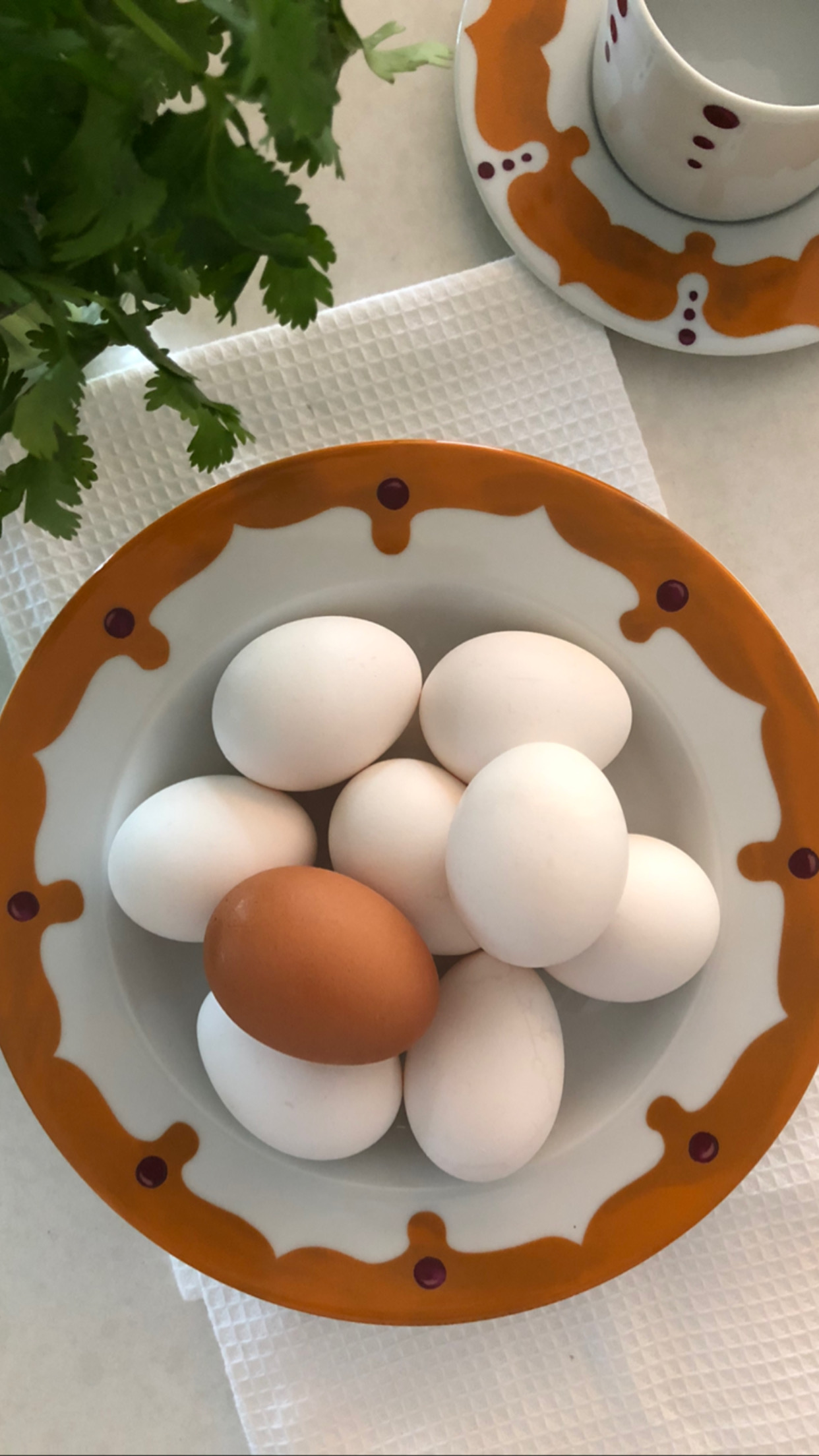 Eggs in Kismet pasta bowl